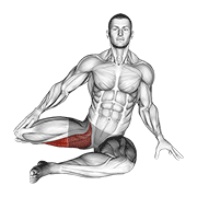 90 To 90 Press Stretch