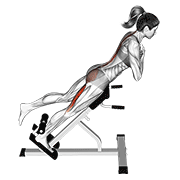 45 Degree One Leg Hyperextension (Arms In Front Of Chest)