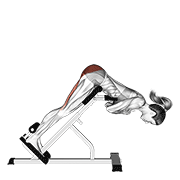 45 Degree Hyperextension (Arms In Front Of Chest) (Side Pov)