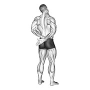 Adduction Of Arm In Back Stretch