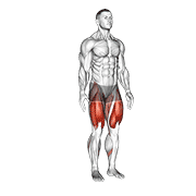 Alternate Heel Touch Side Kick Squat