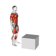 2 To 1 Jump Box