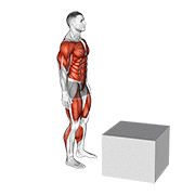 1 To 2 Jump Box
