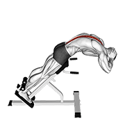 45 Degrees Back Extension
