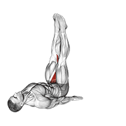 Adductor Stretch