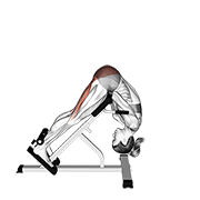 45 Degree Hip Extension Glute Focused