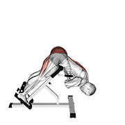45 Degree Hyperextension (Arms In Front Of Chest)