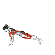 3 Leg Dog Pose