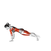 3 Leg Chaturanga Pose