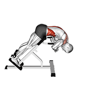 45 Degrees Back Extension Scapular Adduction