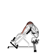 45 Degree Hip Extension Glute Focused V. 2